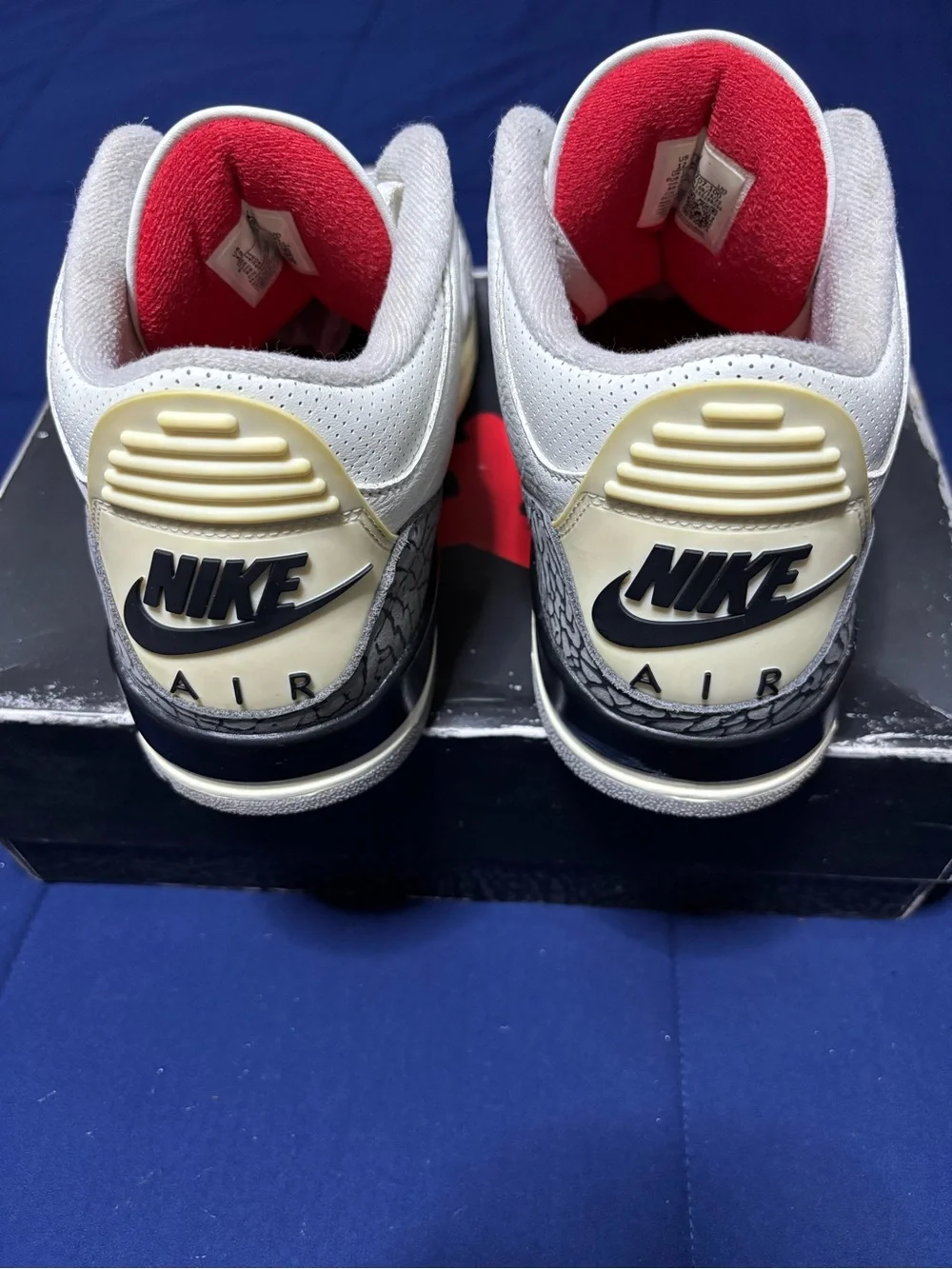 Jordan 12 white has